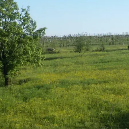 Casa Nel Bosco Отель типа 